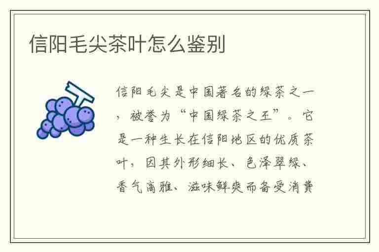 信阳毛尖茶叶怎么鉴别(信阳毛尖茶叶怎么分辨好坏)